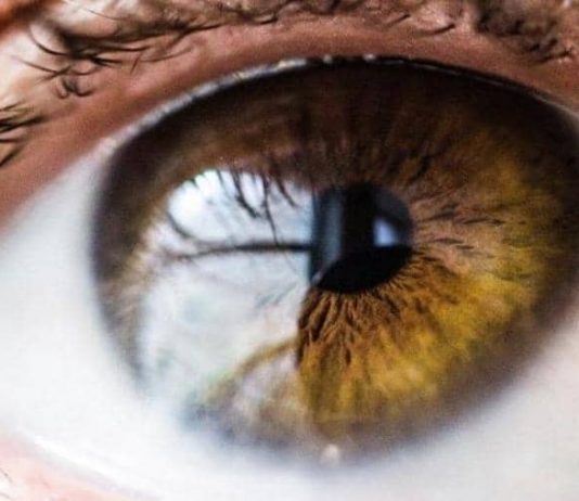 تعرف إلى بكتيريا العين “المفيدة”