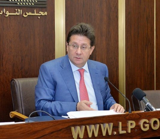 لجنة المال.. إقرار اعتمادات وزارات الشباب والبيئة والثقافة والمهجرين