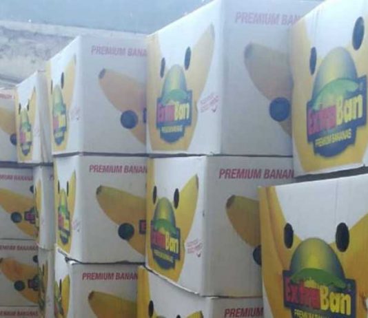 ضبط كمية من الموز الصومالي المهرّب في طرابلس