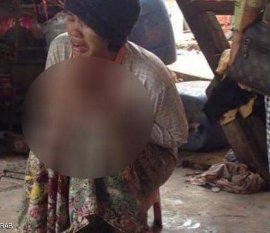 قتلت فور سقوطها في بركة تماسيح