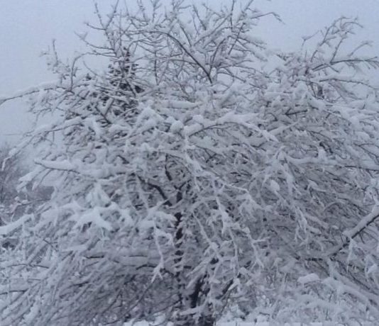 البرد يقتل 6 سيّاح