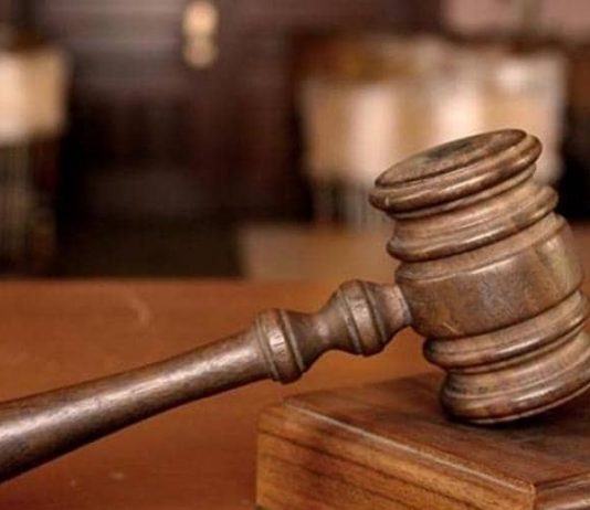 لأول مرة.. كلب “يقاضي” صاحبه