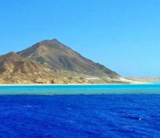 “كنز سعودي” وسط البحر الأحمر ينتظر المستكشفين