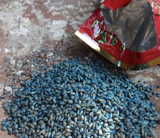 5 اشقاء تناولوا “سم الفئران” عن طريق الخطأ .. ما مصيرهم؟