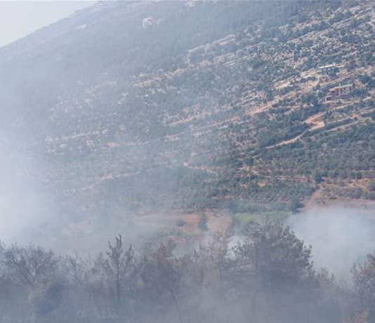 حريق في حبشيت العكارية يتمدد بسرعة.. وهلع في صفوف الأهالي