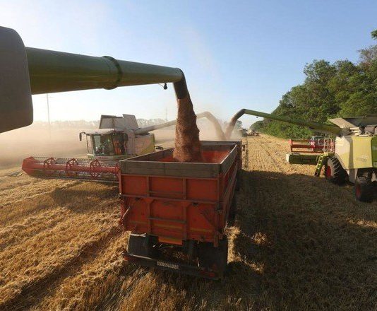 إنخفاض صادرات روسيا من الحبوب والبقوليات