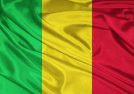 قمة طارئة للمجموعة الإقتصادية لغرب أفريقيا حول مالي الإثنين