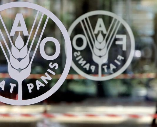 صعود مؤشر أسعار الغذاء العالمية لثالث شهر على التوالي