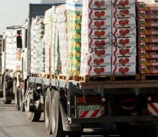 مطالبة بوضع حدّ لدخول الشاحنات السورية والأردنية دون رسوم