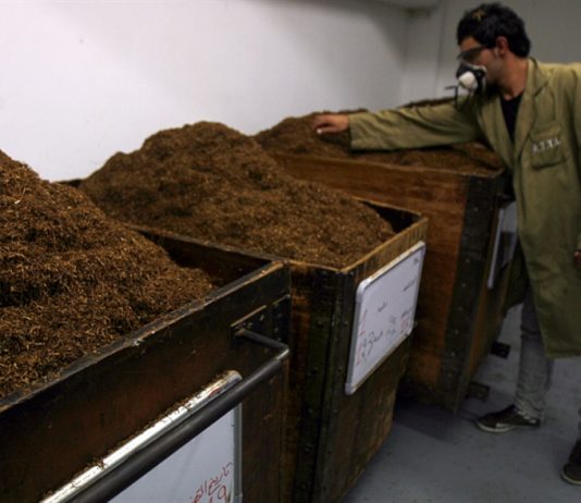 مزارعو التبغ: زيادة الأسعار قبل تسليم المحاصيل