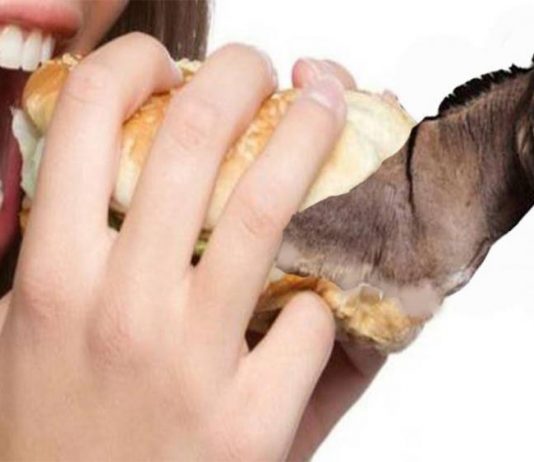 اللبناني و”الحمار” والمواشي النافقة… أيّ لحوم نأكل؟