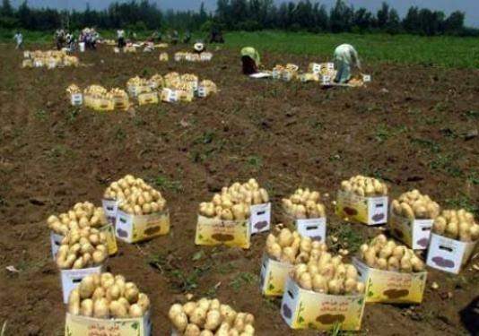 الحراك المدني العكاري: لمساعدة المزارعين والتعويض على المتضررين من الفيضانات