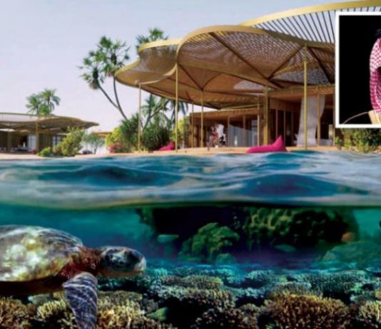 ولي العهد السعودي يطلق رؤية تصميم الجزيرة الرئيسية لمشروع البحر الأحمر العملاق