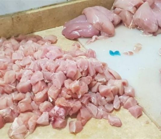 فقط في لبنان: الدجاج يطير ويحلّق !!