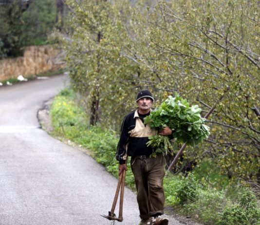 الجنوب: انتشار غير مسبوق للخيم الزراعية