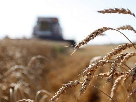حاكم “مصرف لبنان” طمأن بقاء الدعم على القمح