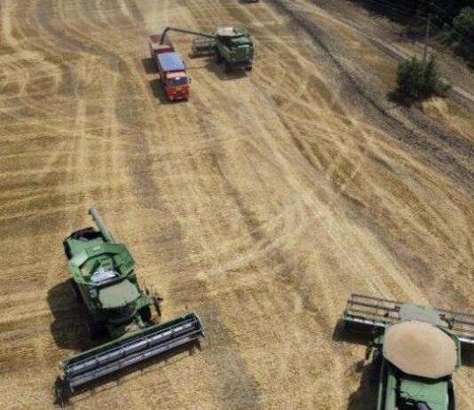 تحذير أممي: الحرب في أوكرانيا بدأت التأثير في الأمن الغذائي