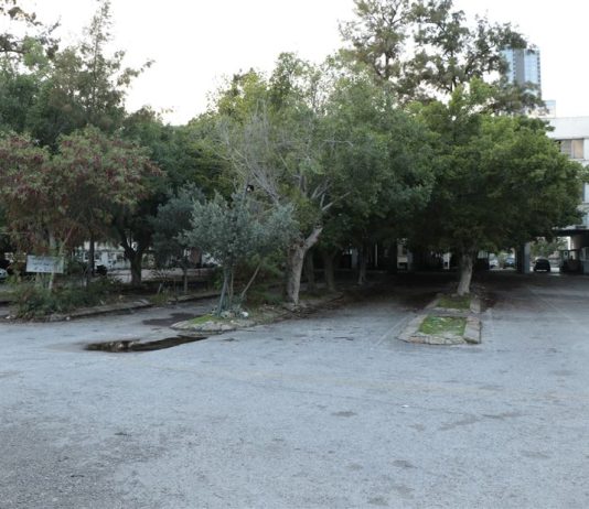 النافعة… متى تعود إلى العمل؟!