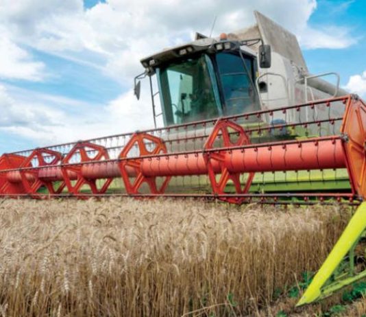 «معضلة غذائية» بين الكفاءة والمساواة