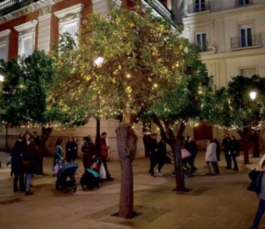 تعافي السياحة العالمية على الأبواب