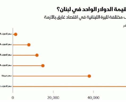 أفيوني: لا سقف للدولار ولا قعر للإنهيار