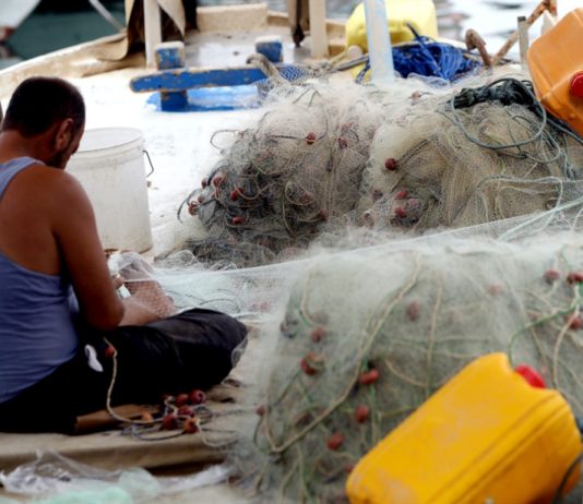 مستوردو السمك يرفعون أسعاره ثلاثة أضعاف