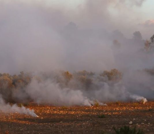 2192 هكتاراً من الأراضي المحروقة