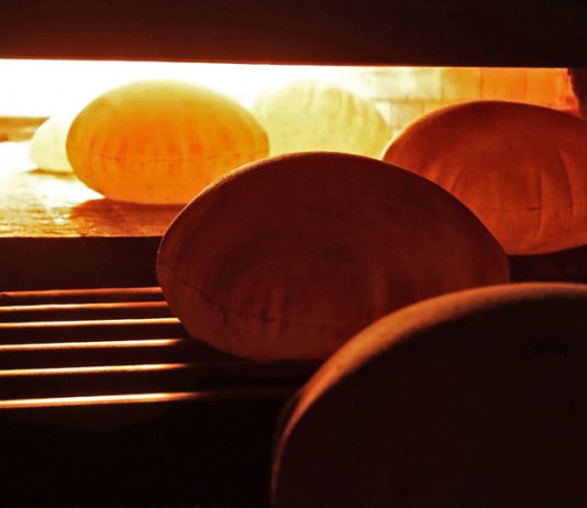 سيف: لا تغيير في سعر ربطة الخبز