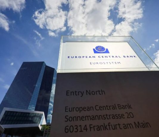 نائب رئيس «المركزي الأوروبي»: الإنفاق الدفاعي ضروري مع ضمان استقرار الموازنة