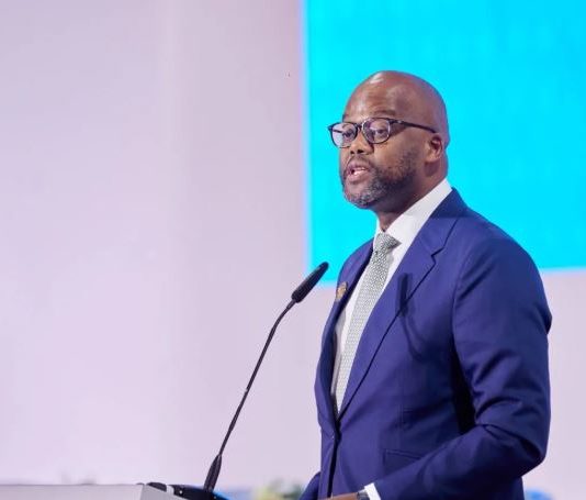 «نحن بمفردنا»… أفريقيا تبحث عن حلول لمواجهة تبعات الرسوم الجمركية