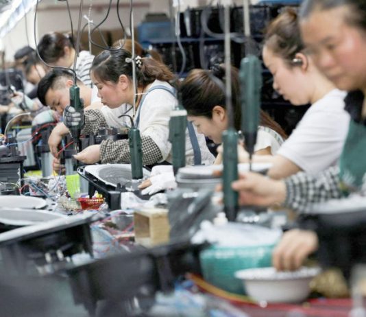 منظمة فاو تستحدث آلية تمويل لمواجهة تحديات الأمن الغذائي