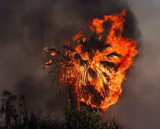 2 تريليون دولار سنوياً… خسائر عالمية