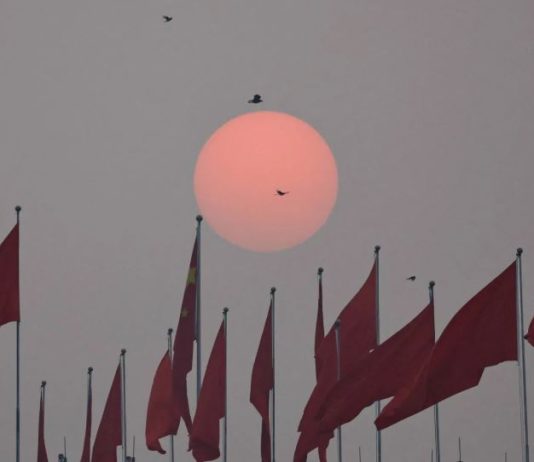 الصين تلاحق أرباح الاستثمارات العالمية لملء خزائنها