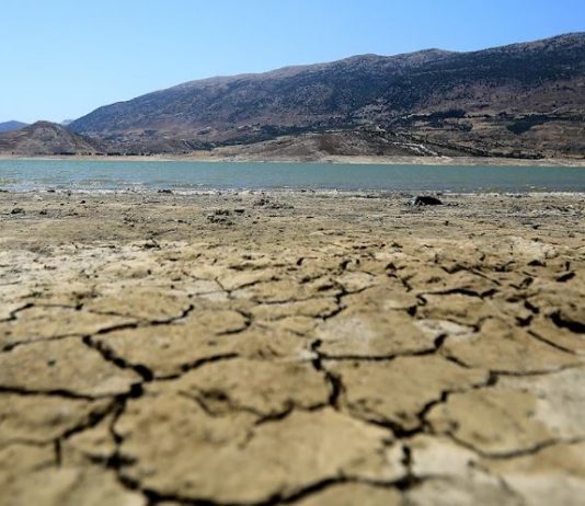 كارثة الجفاف: انهيار مائي وزراعي وكهربائي غير مسبوق