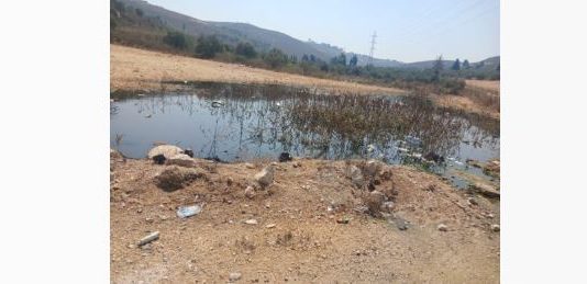 التلوث يهدد أشجار الزيتون ومحاصيلها في الكفور الجنوبية…