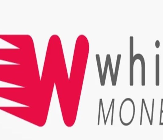 حسابات تغلَق وأسئلة تُفتح: ماذا وراء قرارات Whish؟