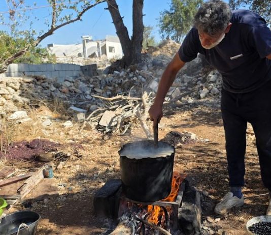 «نكبة الزيتون» تحلّ ببلدات الجنوب