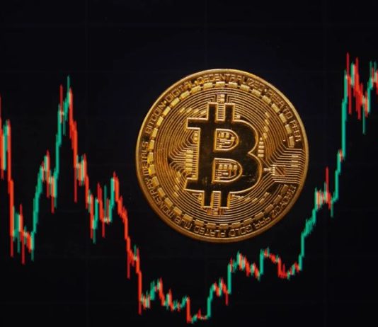 انهيار العملات المشفرة يثير الحذر ويعزز الابتكار في استراتيجيات الاستثمار