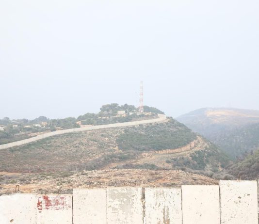 المنطقة الإقتصادية وصاية تحت عنوان التنمية…هل تكون البديل عن المنطقة العازلة عسكرياً؟