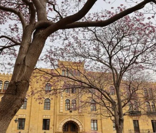 من غزير إلى كل لبنان.. أين تذهب أموال البلديات؟