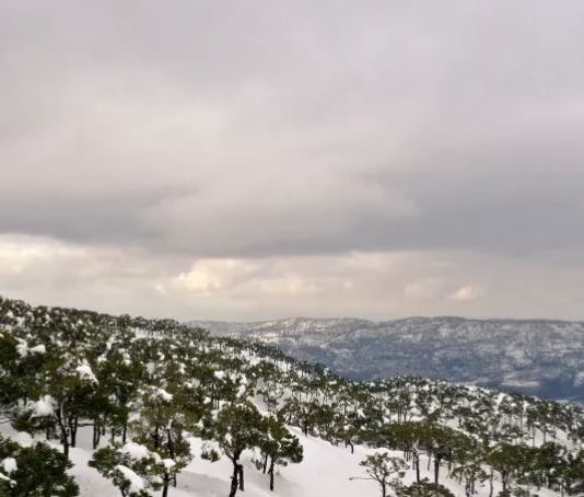 رياضاتُ الثلج وأخطاؤها: ضحيةٌ في إهدن و شُتول الأرز مهدَّدة