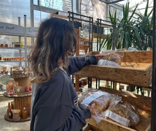 الحصيلة الاقتصادية لعام 2025