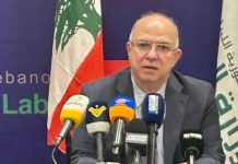 حيدر يحذر من تحركات توظيف لبنانيين في الخارج من دون أطر قانونية