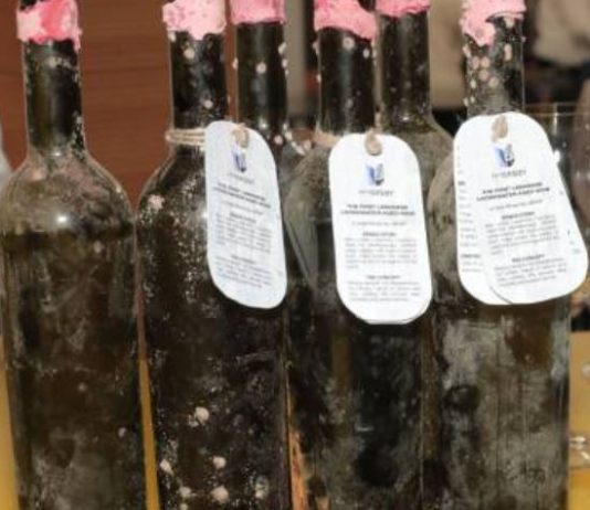 تجربة جديدة في صناعة النبيذ اللبناني تحت سطح البحر… تحاكي البيئة