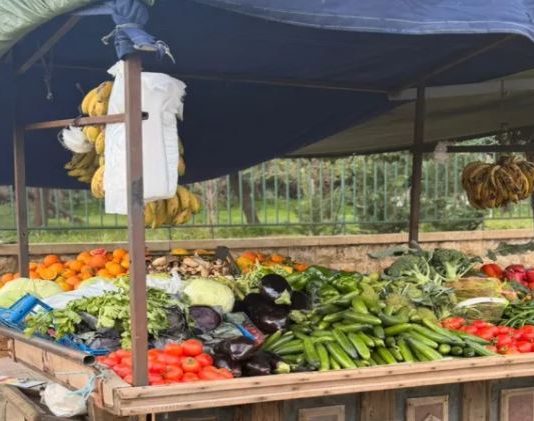 أرزاق تحت القصف: كيف تحوّلت الأرصفة إلى أسواق للنازحين