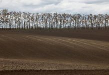 تأهب أميركي لحصار «هرمز» يلهب أسعار القمح والمحاصيل العالمية