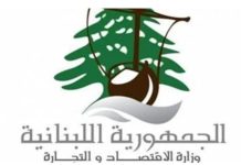 وزارة الاقتصاد تتحرك: ملاحقة مستوردين ومولدات بتهم استغلال المواطنين