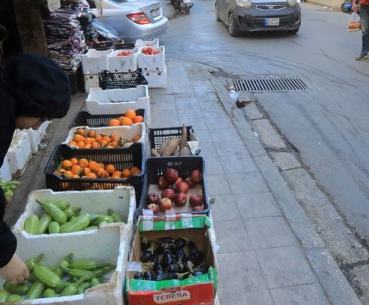 تعطّل الإنتاج وأضرار مباشرة ومواسم ضائعة: 530 مليون دولار خسائر الزراعة
