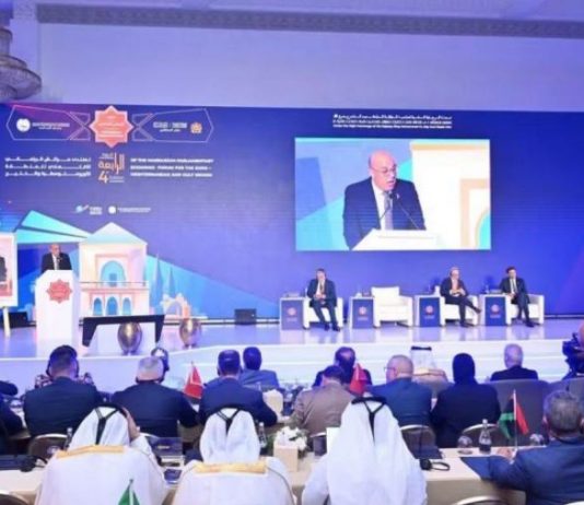الإنتاج المشترك يفتح آفاقًا لسلاسل القيمة بين أفريقيا وأوروبا