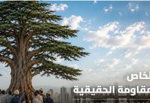 القطاع الخاص عنوان المقاومة الحقيقية